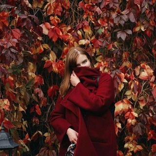 Логотип @anything_about_books - Что-то на книжном
