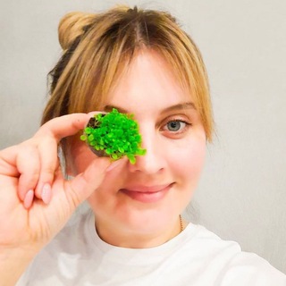 Анютацветы