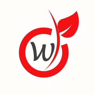 Логотип @apelmonprime - Апельмон Prime