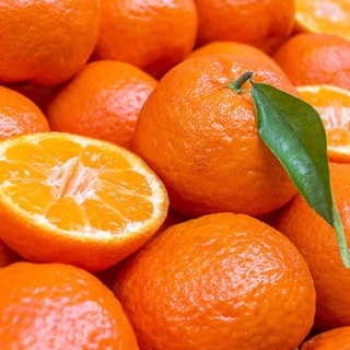 Логотип @apelsinovy_raf_chat - 🍊Апельсиновый раф Chat