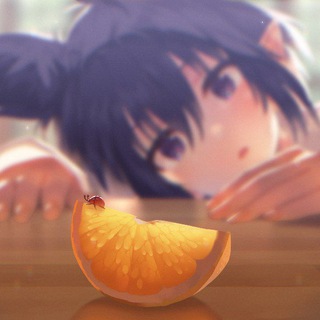 Логотип @apelsinray - Апельсиновый рай🍊