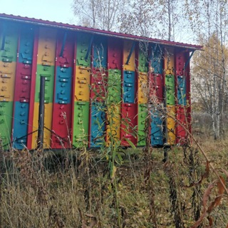 Логотип @apiaryberendey - "БЕРЕНДЕЙ" Кассетное пчеловодство