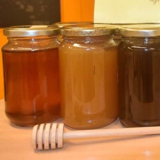 Логотип @apiculturagalega - Apicultura Galega