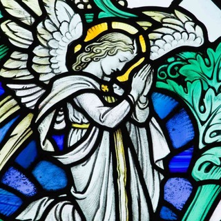 Логотип @appie_ot_bori - ZETHEZU