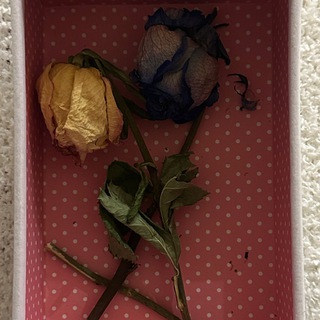 Логотип @appleorchard - ::заброшенный сад