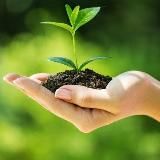 Логотип @aprendesobreplantas - APRENDE SOBRE PLANTAS🪴