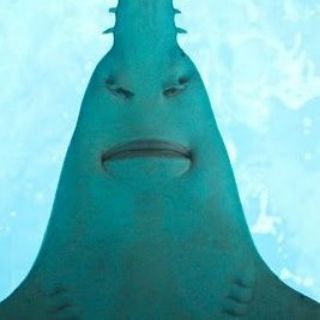 Логотип @aquaamarinaa - Морской чат