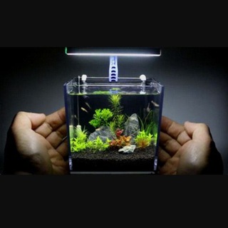 Логотип @aquarium_chat - Åквариум_Чат👨‍🌾👩‍💼👨‍🎨👩‍🏫