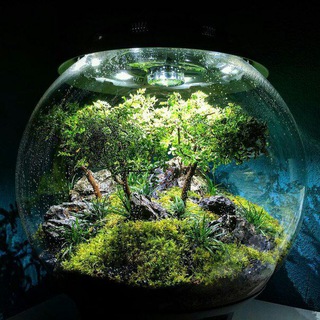 Логотип @aquariumistik - Аквариумистика