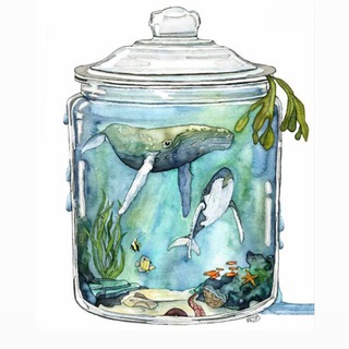Логотип @aquariumsmax - Море в банке