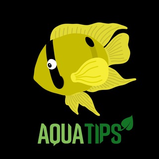 Логотип @aquatips - Grupo AquaTips Youtube