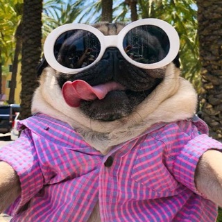 Логотип @ar_fany - БУБЛИК•Юмор•Приколы•Мемы