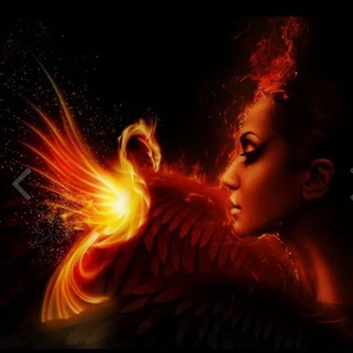 Логотип @arabafenice16011961 - Araba Fenice