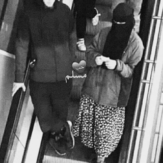 Логотип @arabi_yem - 𝙰𝚛𝚊𝚋𝚒𝚢𝚎𝚖 ❤️😽