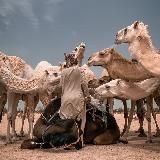 Логотип @arabskie_musilmanskie - .