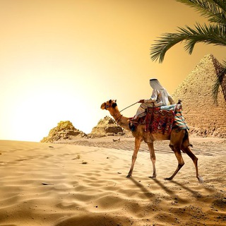 Логотип @arabskiyyazyk - Арабский язык - @arabskiyyazyk