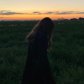 Логотип @arailmws - 𝙰𝚁𝙰𝙸𝙻𝙼𝚆🤍