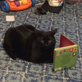 Логотип @arakuskin - Господство Сырных Раков🧀🌪️