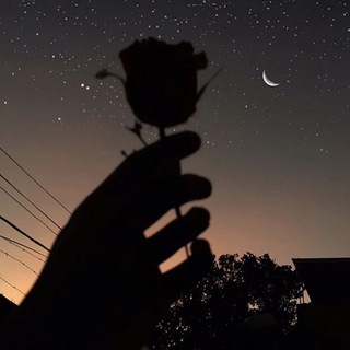 Логотип @aramsn - Цитаты