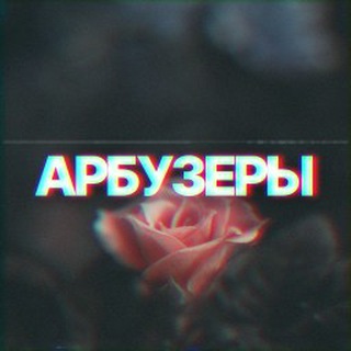Логотип @arbuzerstt - Видосики с ТТ