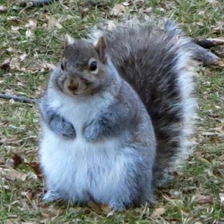 Логотип @arcanaarcada - Душа