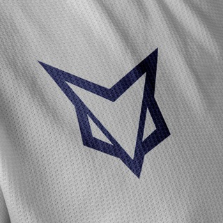 Логотип @arcfox_org - ARCFOX #BornFree