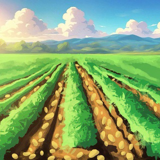 Логотип @architect_sol - Картофельные поля