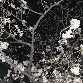 Логотип @archiveofemptiness - архив пустоты.