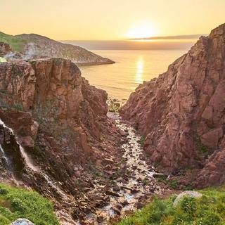 Логотип @arctic_safari - Arctic Safari: Кольский Мурманск Териберка