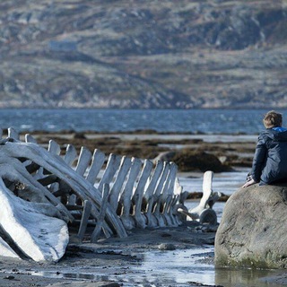 Логотип @arcticdiscovery - ArcticDiscovery . Новости. Туризм. Путешествия на Кольском.