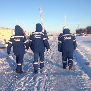 Логотип @arcticonline - Arctic online