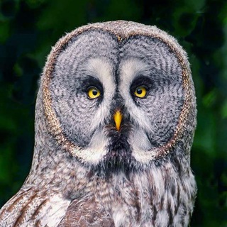 Логотип @are_you_smart - Ты что, умник?