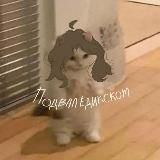 Логотип @arhivkrus - Архив Крус