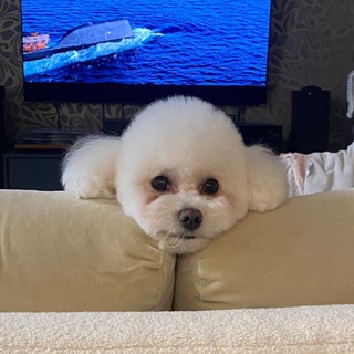 Логотип @ariana_milovanova_tg - АРИАНА МИЛОВАНОВА