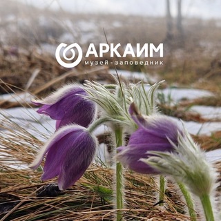 Логотип @arkaim_tg - АРКАИМ