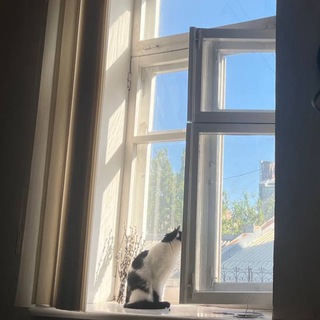 Логотип @arkhiv_knig - 📚 читающий кот 🐈