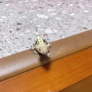 Логотип @arleta7 - Нейронки и ИИ для чайников. Ссылки и руководство пользователя