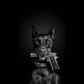 Логотип @armanmoscow - Прогулка по Москве и не только