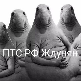 Логотип @armarest - Клуб армянских машин 🇦🇲