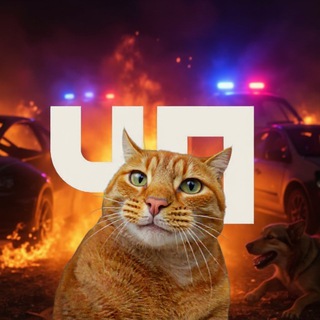 Логотип @armavirchp - ЧП АРМАВИР | Михаил Соколов