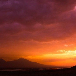 Логотип @ArmenianVendetta - Армянская вендетта