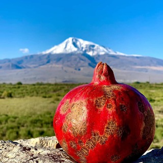 Логотип @armenia_national - Армянский национальный канал 🍇