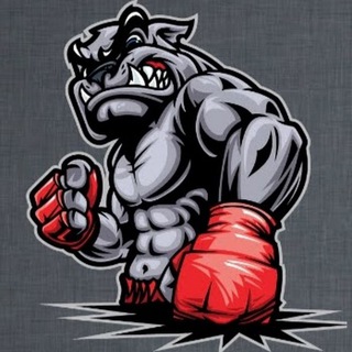 Логотип @armmageddonfight - АрММАгеддон