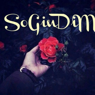 Логотип @armonli_seevgim - ꧁🌺❁̲͚ A̶r̶m̶o̶n̶g̶i̶n̶a̶m̶ ❁̲͚🌺꧂