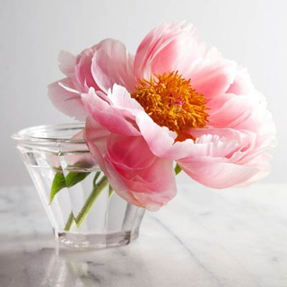 Логотип @aromabeseda - АромаTime - время ароматов