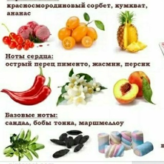 Логотип @aromokarta - КАРТЫ АРОМАТОВ