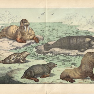 Логотип @aroundbartes - Around Barthes