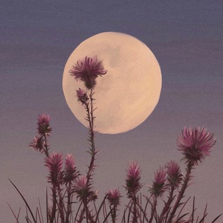 Логотип @ars_carduus - Ars Carduus — Искусство Чертополоха