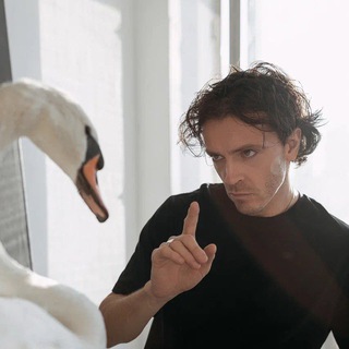 Логотип @arseniy_popov_official - Арсений Попов