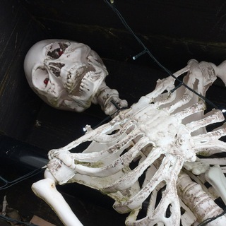 Логотип @art_of_nothing_ua - Шкелетик Дара